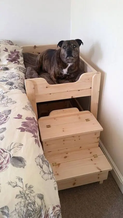 a simple wooden dog bed by the side of a human bed and with an additional staircase to make going up easy