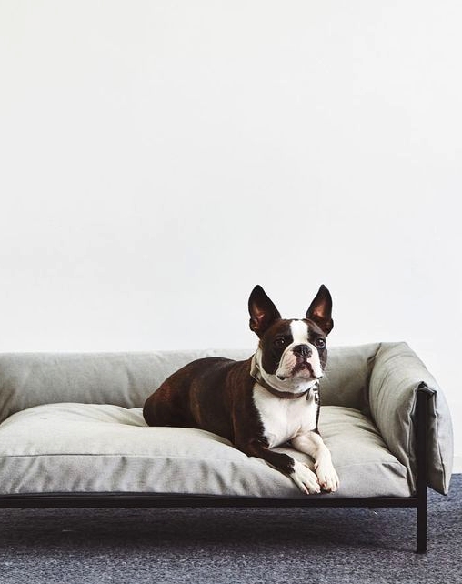 an ultra-modern dog bed styled as a modern human daybed and it will match your interior in the best way possible