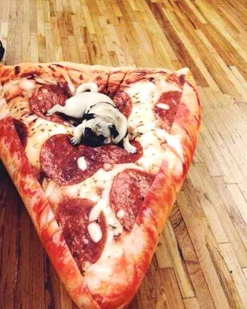 a fun and cool dog bed styled as a slice of pizza is a gorgeous idea for a modern home with a touch of humor and is very soft