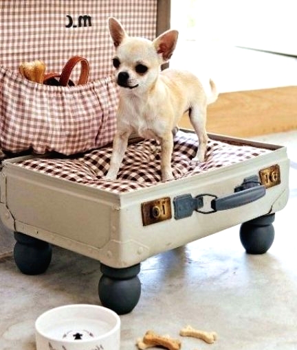 a vintage suitcase turned into a comfy and cozy dog bed with plaid fabric and a cushion won't spoil that vintage style that you have