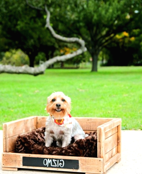 a crate with a cushion gives you a ready rustic dog bed that works for both outside and inside your home
