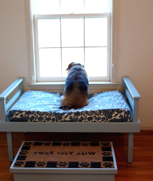 56 Superior Canine Beds For Indoors And Open air