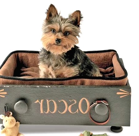 a drawer put on legs and turned into a dog bed, with an additional soft bed and a name on it is amazing