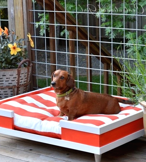 a striped dog bed with a matching striped cushion is a lovely idea for both indoors and outdoors