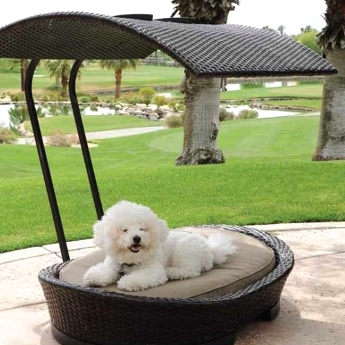 an outdoor wicker dog bed with an additional roof will save your pet from excessive sunshine and will make it feel comfortable