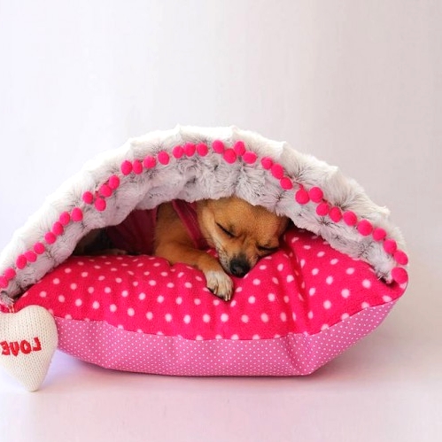 a super cozy envelope-style cushion dog bed will suit a cat, too, all pets love to feel hidden from time to time