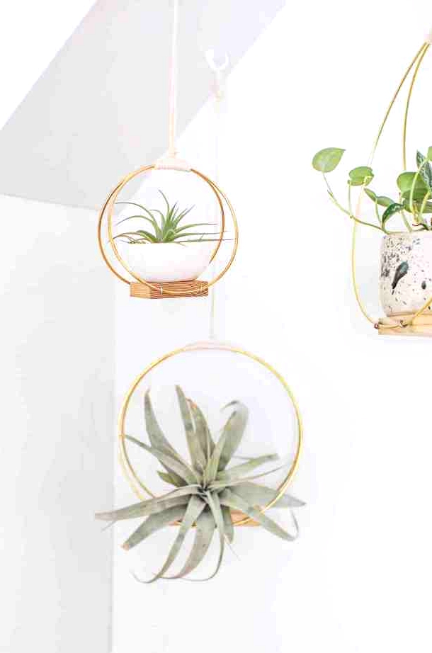 Scrap wood and brass rings make up this easy hanging planter. 