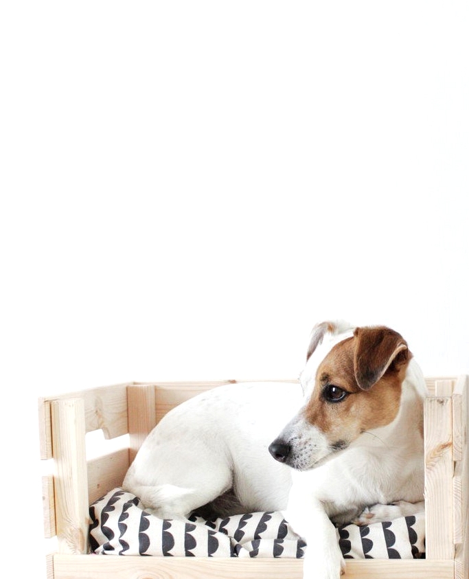 IKEA hack turns a storage crate into a cute dog bed.