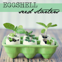 Eggshell Seed Starter